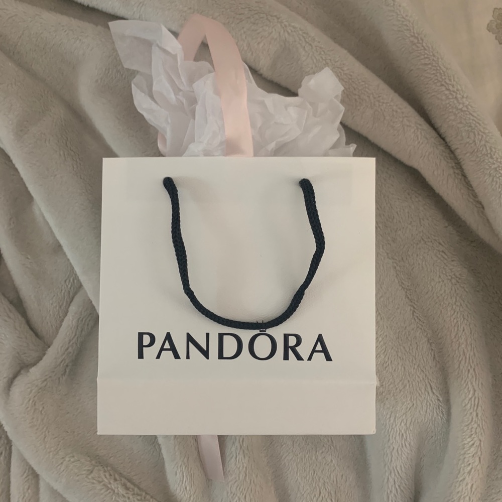 Pandora Gift Bag